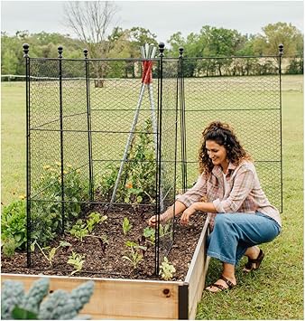 Chicken Wire Garden Fence