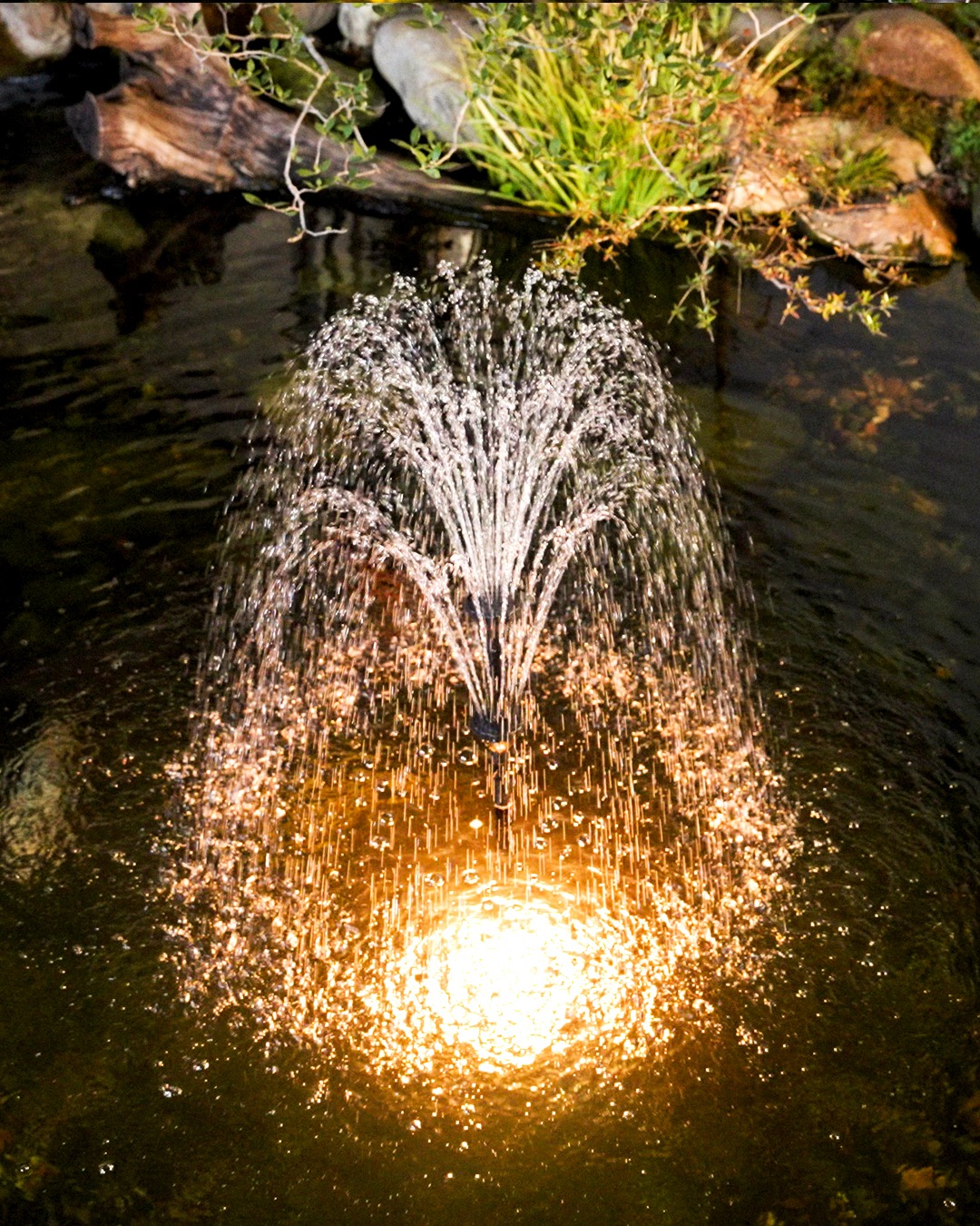 Solar Garden Lights