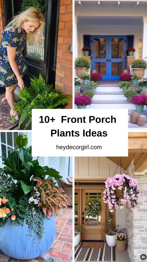 Front Porch Plants Ideas