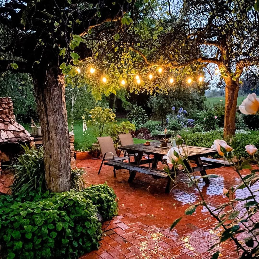 Backyard Lights Ideas