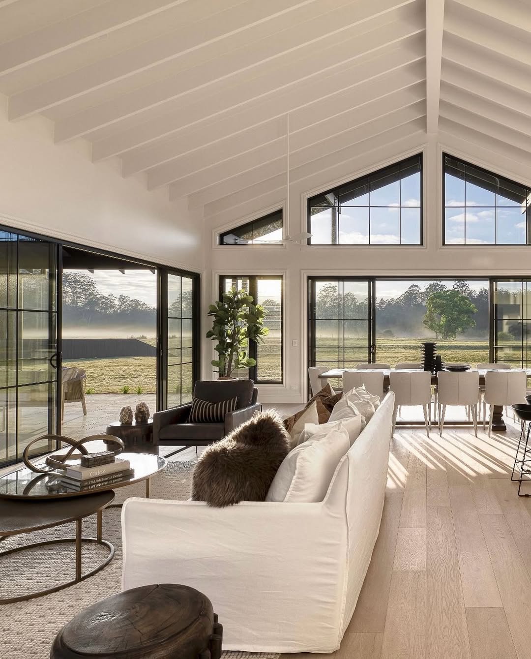Vaulted Ceiling Ideas