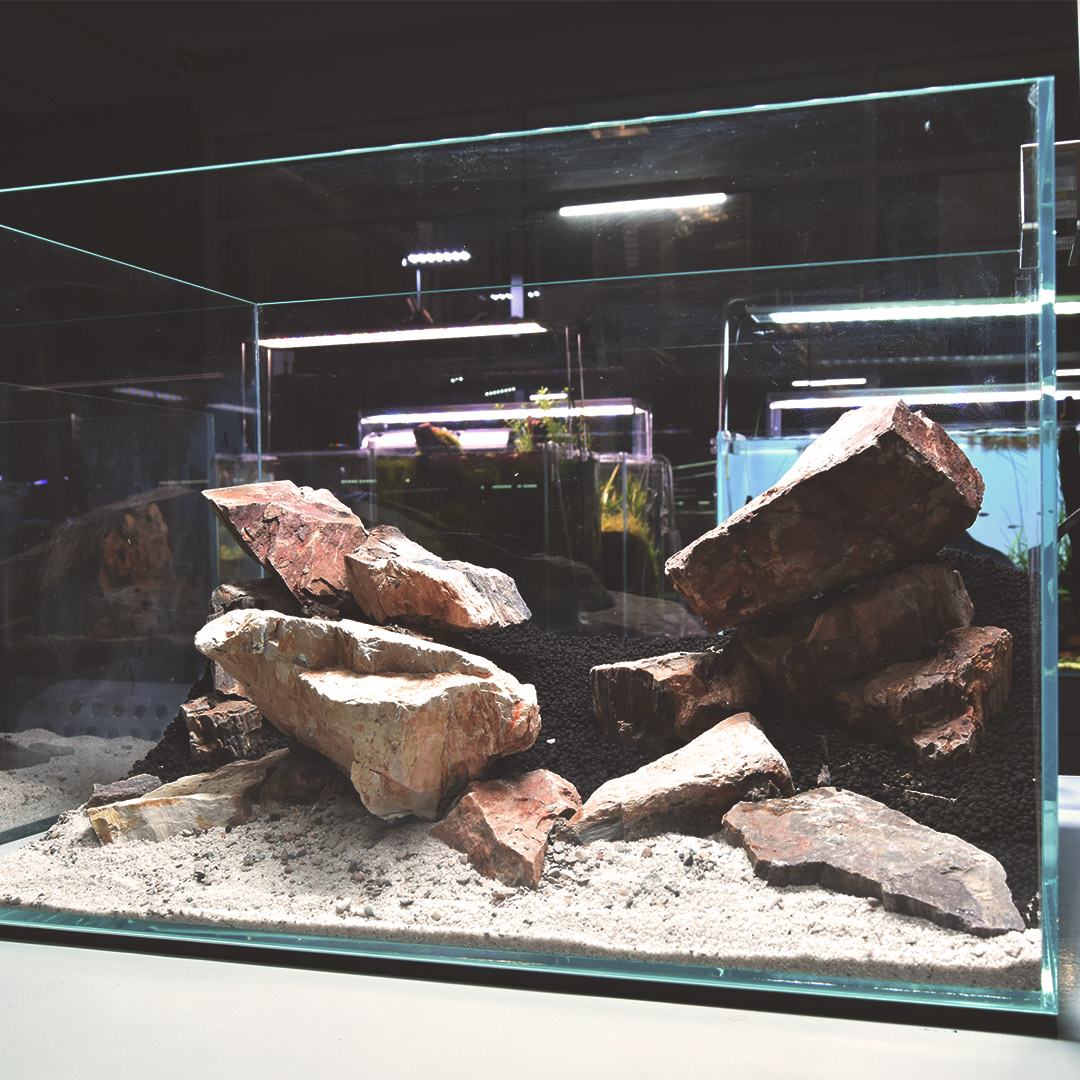 Fish Tank Decorations