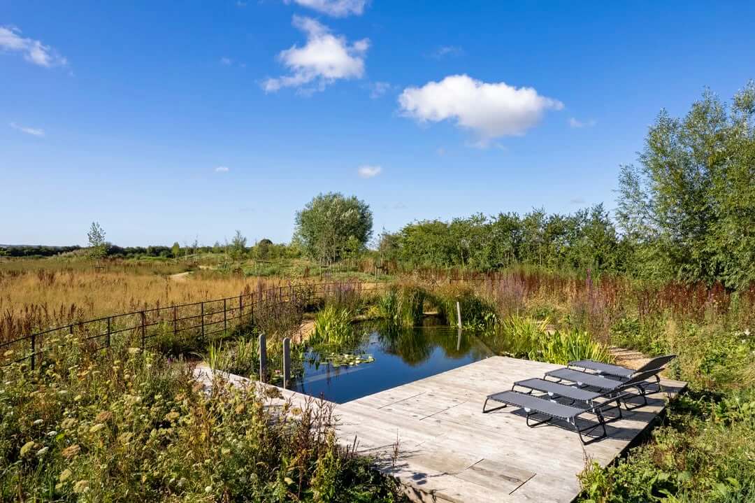 Natural Pool Design