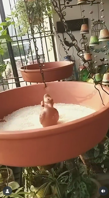 Balcony Bird Feeder Ideas