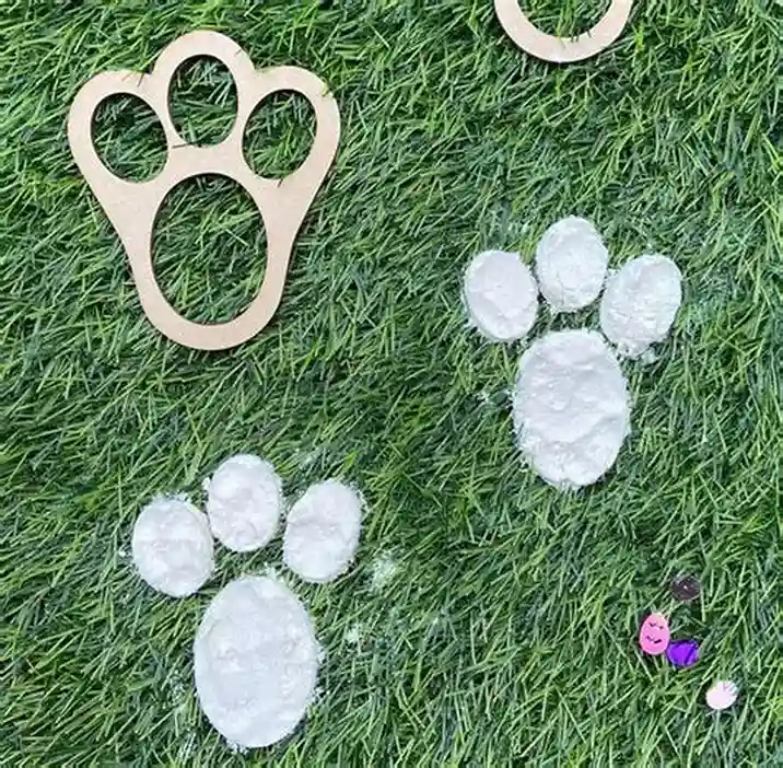 Jungle Safari Decoration Ideas