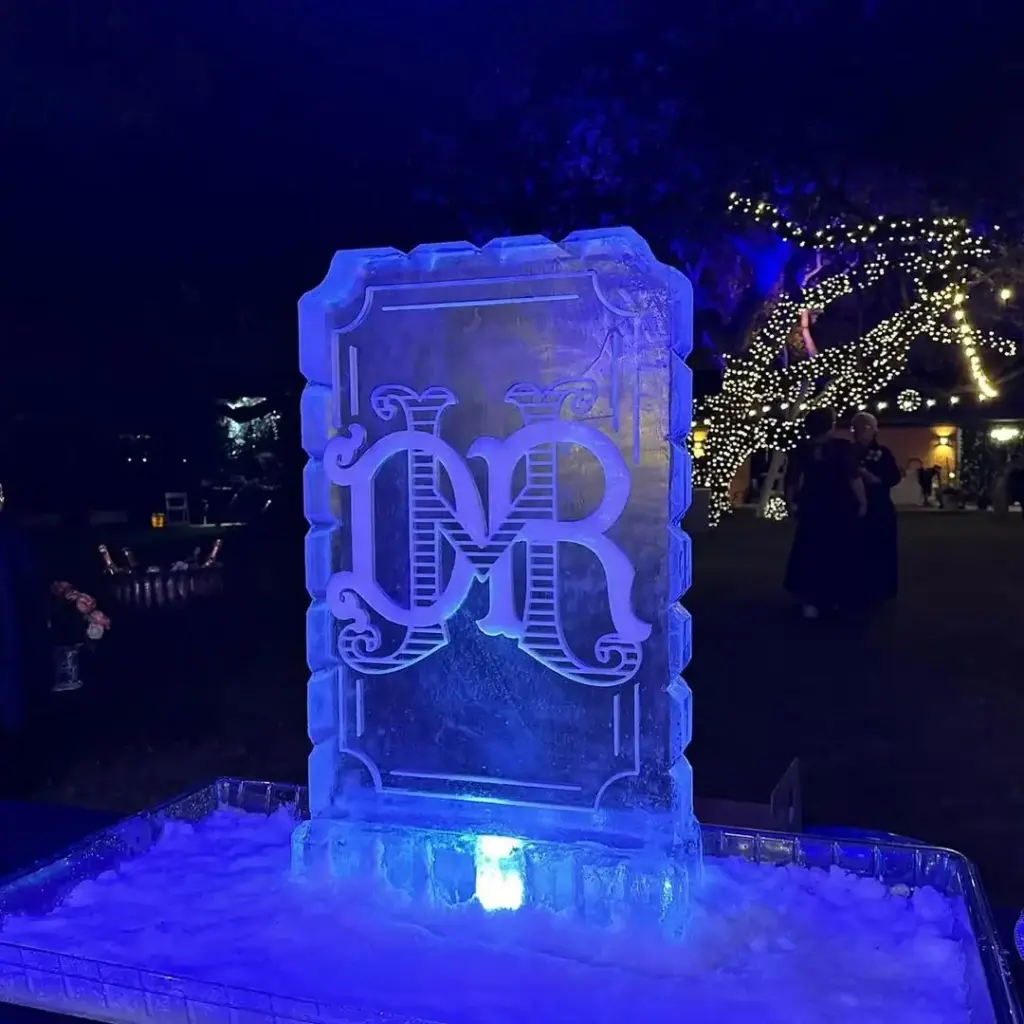 Frozen Princess Decorations