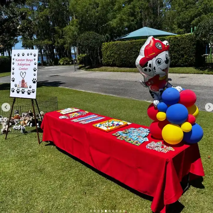 Paw Patrol Themed Decorations Ideas
