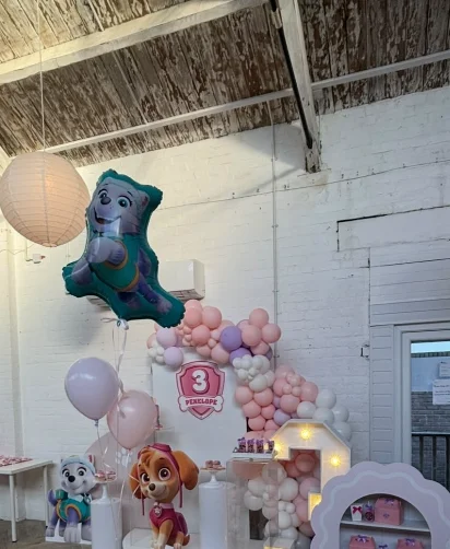 Paw Patrol Themed Decorations Ideas