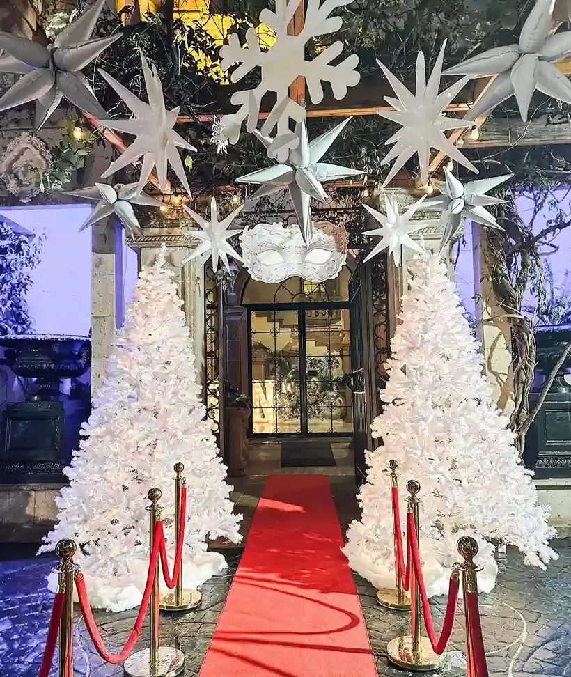 Frozen Princess Decorations