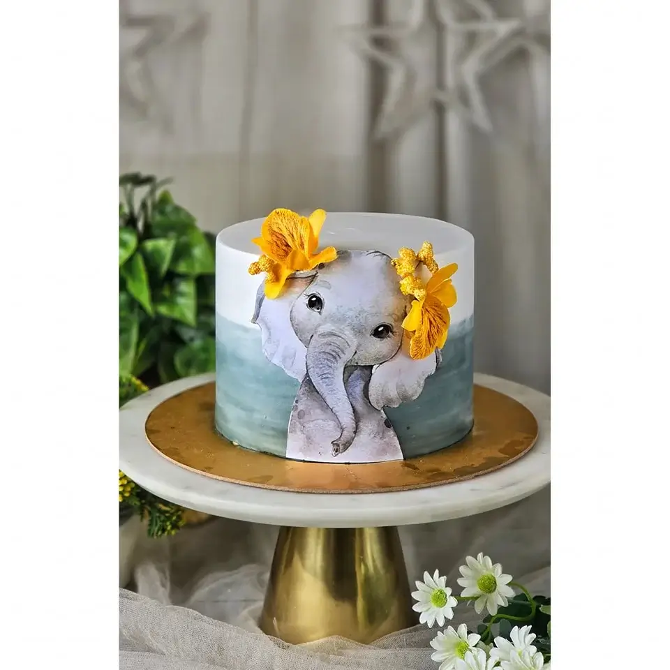 Baby elephant theme decorations