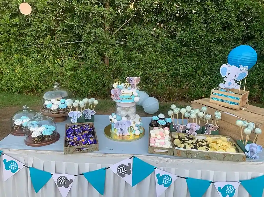 Baby elephant theme decorations