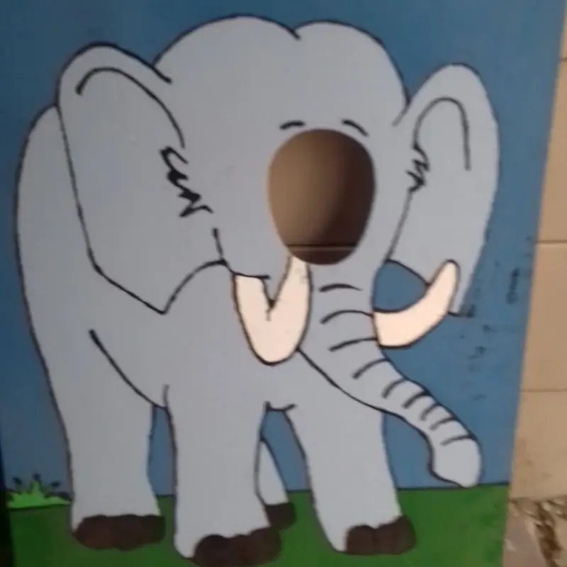 Baby elephant theme decorations